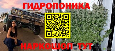 гашик Сланцы