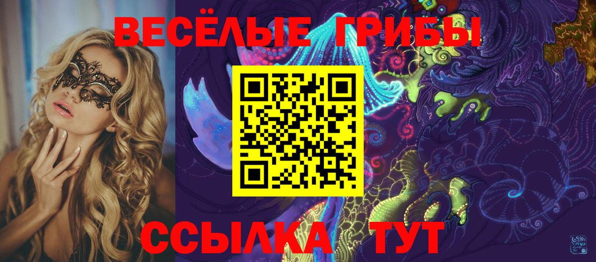 купить наркоту  Вход с VPN  Аксай  Псилоцибиновые грибы Cubensis 
