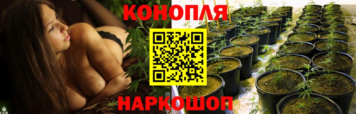 Аксай  Конопля сатива  Конопля индика  Каннабис OG Kush  Вход с VPN 